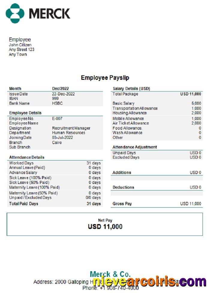 USA Merck & Co. pharmaceutical company pay stub